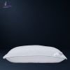 بالش الیاف آلوئه ورا ورونیکا Veronica Aloe Vera Fiber Pillow