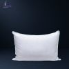 بالش الیاف آلوئه ورا ورونیکا Veronica Aloe Vera Fiber Pillow