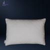 بالش کورال سافت ورونیکا مدل مرجانی Veronica coral soft pillow