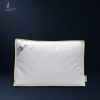 بالش پر 10 سانتی ورونیکا Veronica Super Luxury Pillow