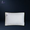 بالش پر 10 سانتی ورونیکا Veronica Super Luxury Pillow