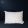 بالش الیاف دوقلو ورونیکا مدل کانگرویی Veronica Twin Fiber Pillow