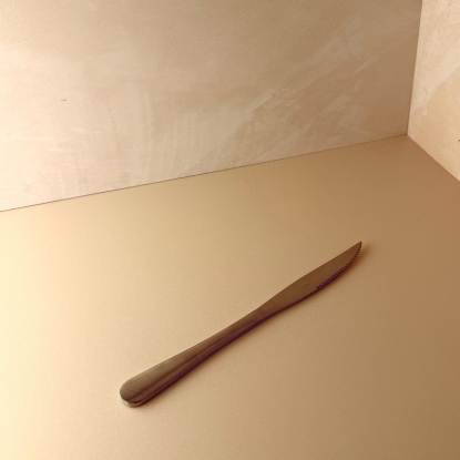 تصویر  بسته 1 عددی کارد استیک